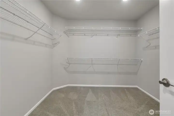 Huge walk in closet
