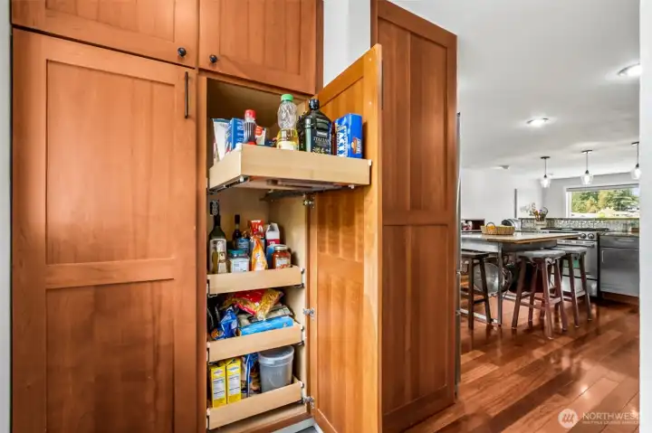 Just off of the back entrance of the house and to the kitchen you'll find this convenient pantry with pull out shelving for additional storage and convenience.
