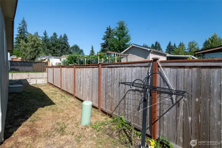 Backyard Backyard