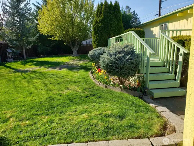 Back yard with shrubs and back deck.