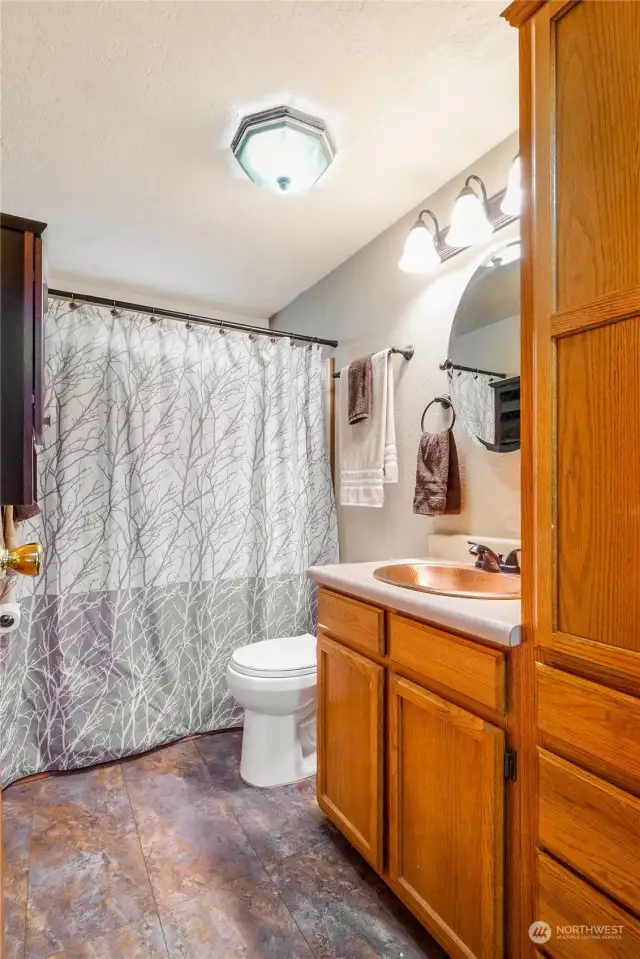 The main bathroom has a shower and a tub with a beautiful copper sink and lots of storage in here.