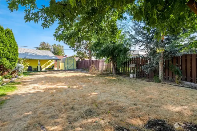 Another view of the large, shaded back yard, the garage, and the shed.  The fencing goes completely around the back yard, and there's gravel on the back side of the shed.