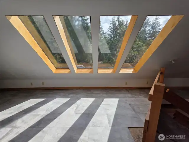 3rd Floor Skylights