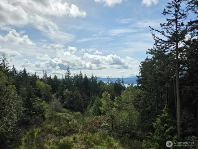 View from 3rd Floor Deck