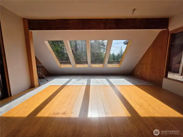 Large Entry & Skylights