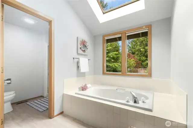 Separate shower and a soaking tub with another light filling skylight above.