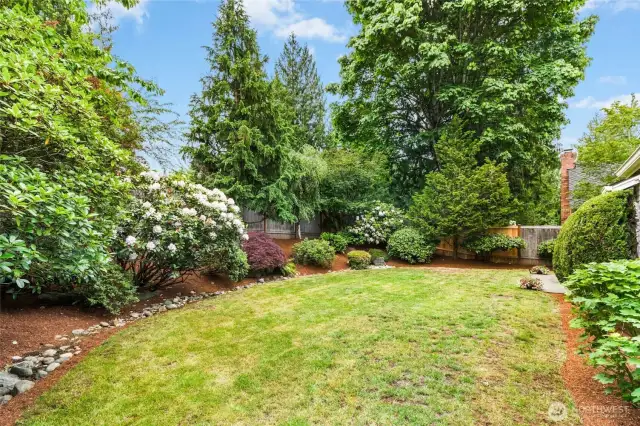 Lots of grass for play and pets.