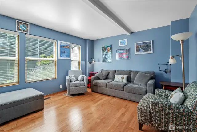Den/Library/TVroom