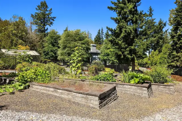 Fenced in garden with raised beds