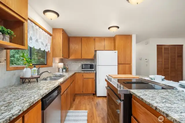 Stainless Appliances and slab granite