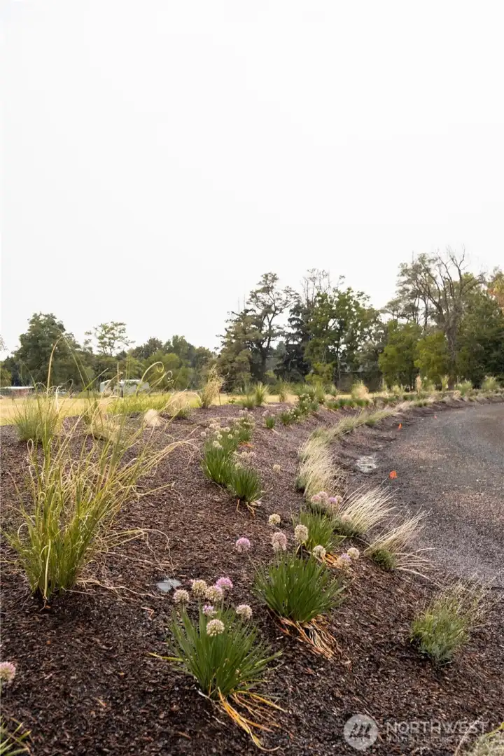 Beautiful berm