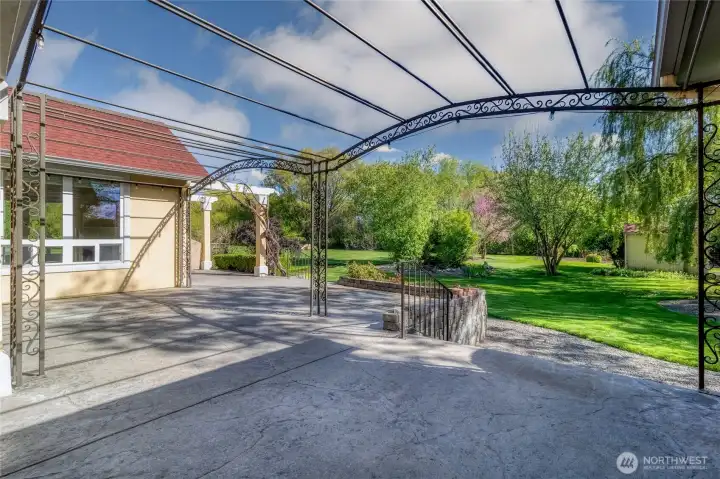 View into the Back Yard