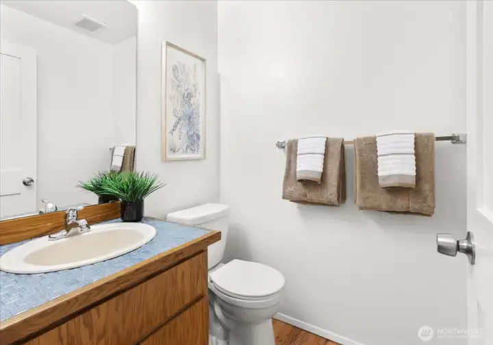 Guest bathroom