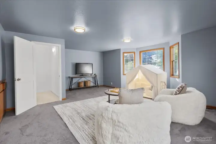 Entertainment room