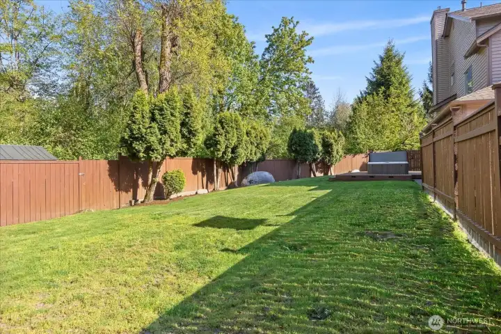 Backyard