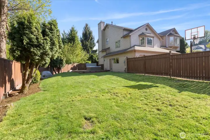 Backyard