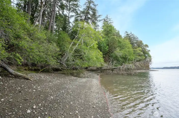 180+ feet of saltwater beach front