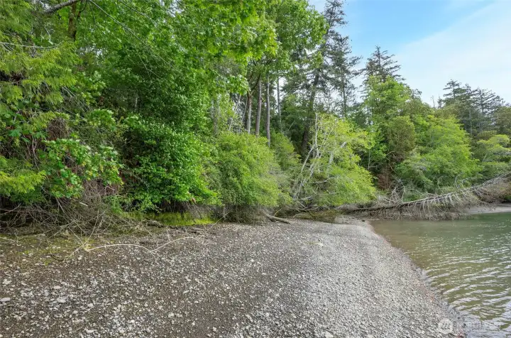 Fishing for salmon and steelhead from your own beach.