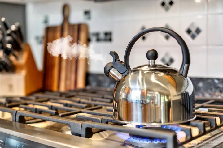 Double oven, Gas range, electric oven