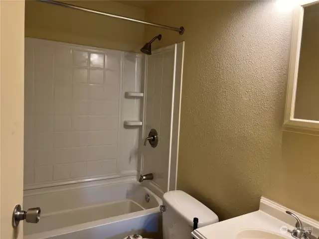 Lower unit Bathroom