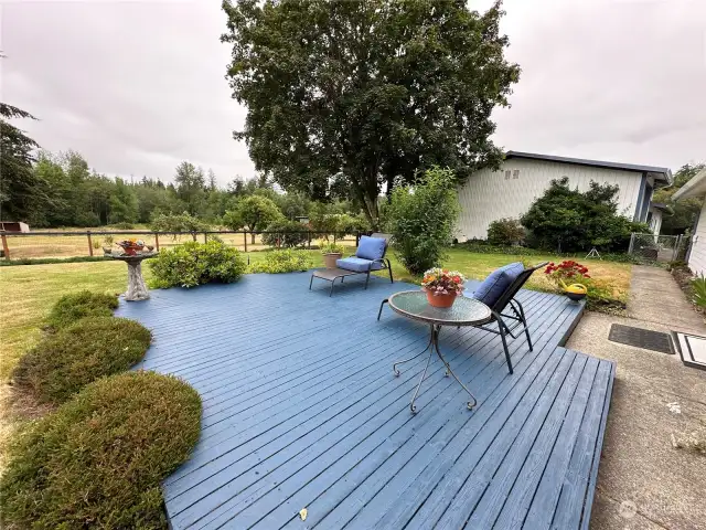 Sundeck just off the dining area with lovely view of the backyard and rear pasture.