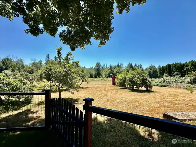 Looking toward the rear acreage that offers fenced pasture area, fruit trees and small out building.