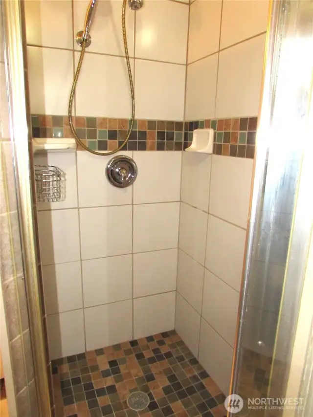 BUILT -IN CONVEYENCES AND LIGHTING IN WALK-IN SHOWER.