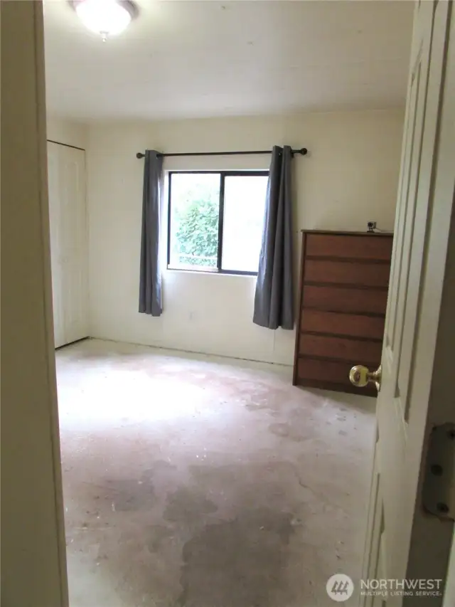 PRIMARY BEDROOM, WITH SOUTH FACING WINDOW, LARGE HEDGE ALONG BACK FENCE.