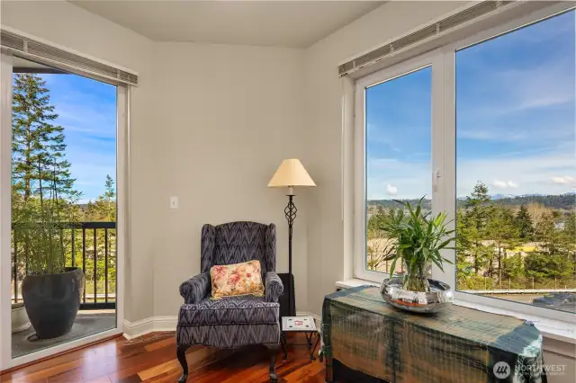 Office/flex room with a view