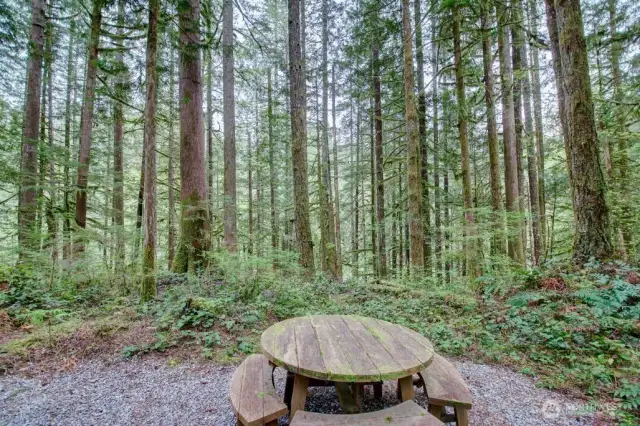Amazing greenspace that back up to the Nooksack River.