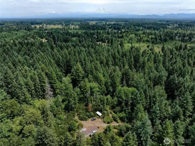 Close to Mount Rainier!