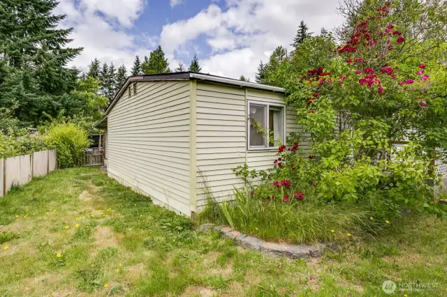 Good sized yard space