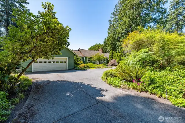 Gracious entry through mature trees.