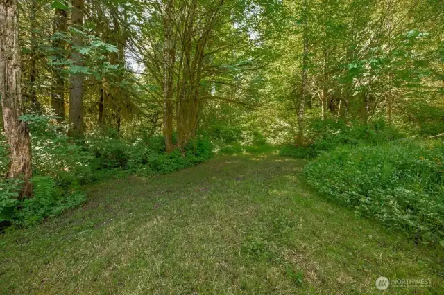 Wooded paths