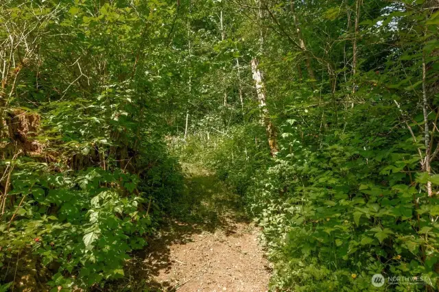 Let the adventure begin - wooded paths