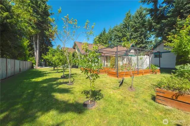 View of fruit trees. Enjoy cherries, pears and apples!