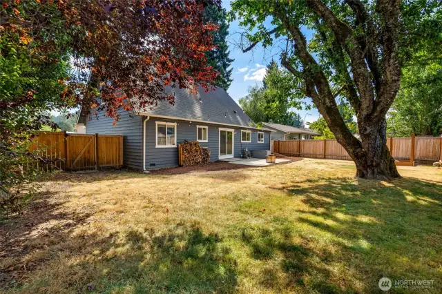 Large, level fully fenced backyard with patio