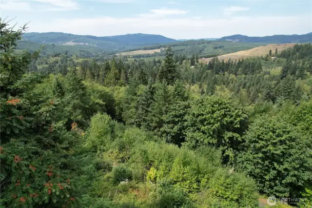 Acerage slopes down with possible timber value and slit off a home site for family or sell. Trees protect the privacy.