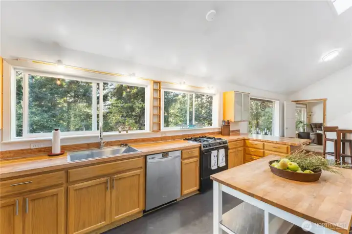 great open kitchen w/ lots of natural light