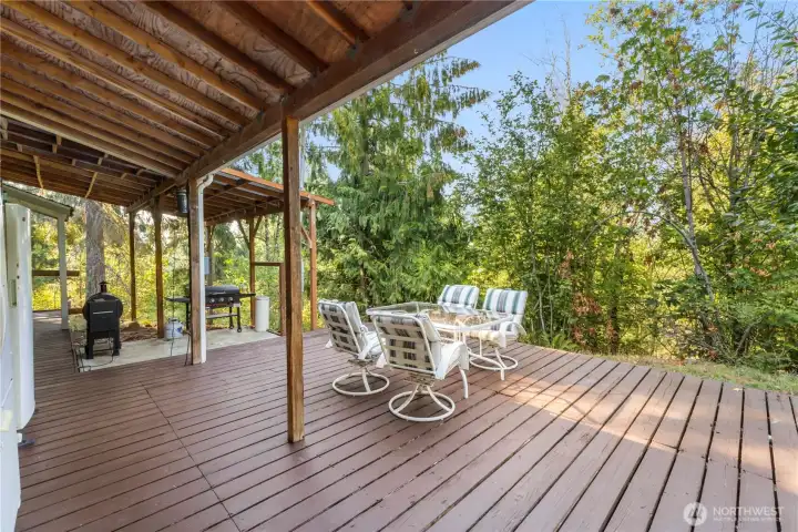 Lots of room for entertaining with adult evergreens surrounding you for privacy