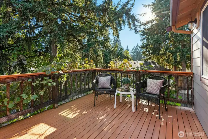 Grape vines climb on this upper level deck.