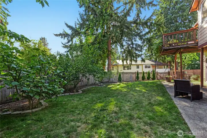 Lawn for backyard fun and games.
