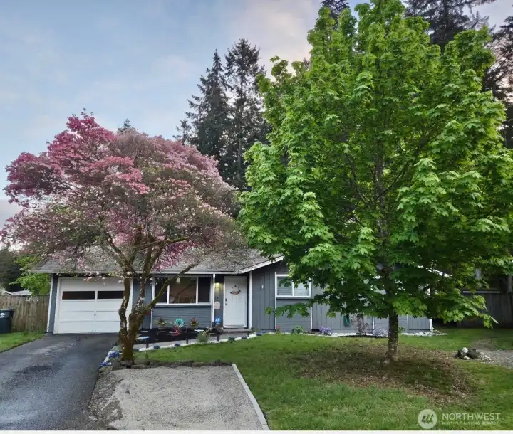 This is what the front looks like in full bloom in the Spring/Summer