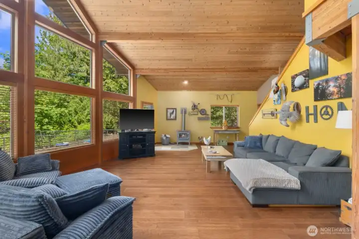 Cozy wood stove (gas)