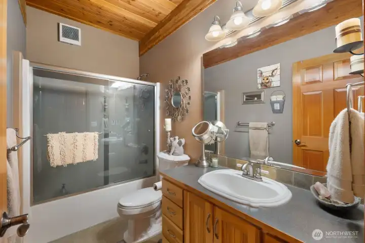 Guest bathroom - on main