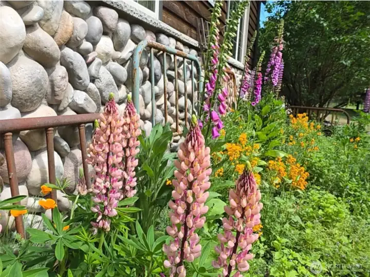Wild flowers and stone, gardens and a place to call home