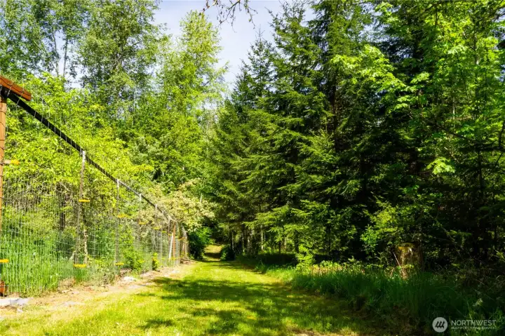 Drive to Pond
