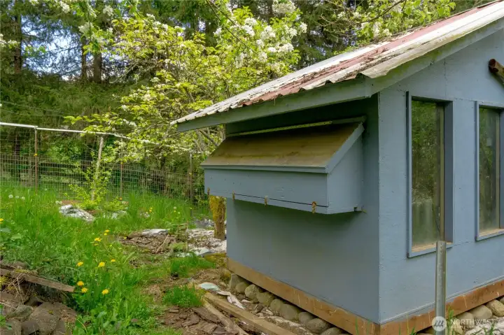 Chicken Coop in Orchard