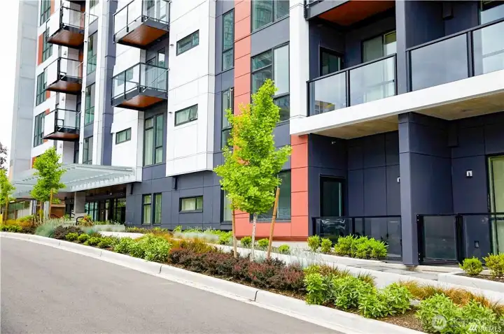 Mira Flats- At home in Bellevue