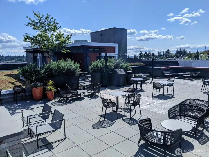 Spectacular rooftop deck w/sweeping 360 degree views, barbecues, wet bar and plenty of lounge seating.